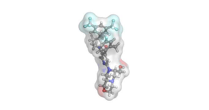 Elinzanetant, neurokinin 1 receptor antagonist, treatment for hot flashes and menopausal symptoms, 3D molecule 4K