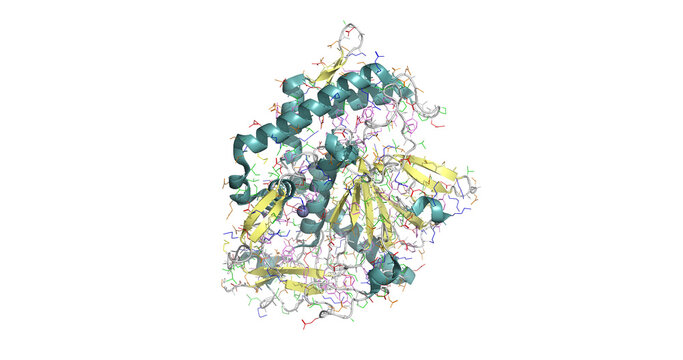 Clostridium botulinum neurotoxin serotype F catalytic domain bound to inhibitor INH2, critical zinc-endopeptidase target for therapeutic intervention against botulism, 3D model 4K