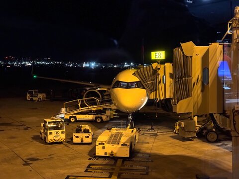 26 October 2024, USA, Hawaii, Oahu, HNL Honolulu Airport, Terminal 2 Gate E8 - Airbus A321-271NX boarding for LAX Los Angeles Delta Air Lines DAL658 at night