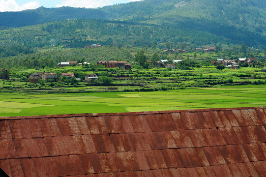 Madagascar, Ambositra, iron roof of schools in front of rice fields