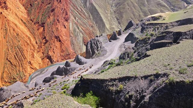 Aerial view of a vibrant red and grey canyon valley with a herd of animals walking on a path in Anjihai Grand Canyon, Xinjiang, China