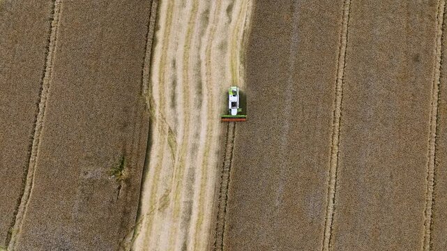 Aerial Tracking Shot Follows Combine Harvester Cutting Diagonal Swath