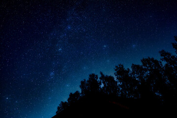 Fototapeta premium Thousands of stars over silhouetted treetops on a clear night, wide-angle astrophotography