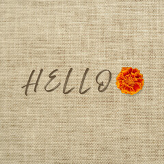 Handwritten hello Typography with Marigold Replacing Letter O on Gray Textured Background © Olha Tiron
