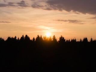 Aerial view of large golden sun setting behind silhouette of dark coniferous forest trees during warm golden hour with cloudy sky in Estonia © Dmitri
