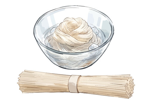 Appetizing somen noodles illustration with smooth glossy texture and refreshing Japanese summer food styling ／ シズル感のある素麺のイラスト、つるつると艶やかな麺の質感と涼しげな美味しさを表現した夏の和食