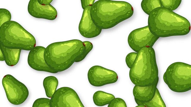 Falling Green Avocado Fruits Animation on White Background