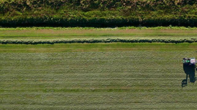 Aerial view of lush green agricultural fields with rows of mown grass and a grassy embankment in Rangarthing ytra, Iceland.