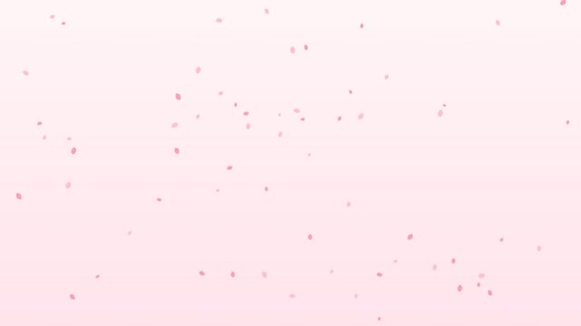 Cherry Blossom Petals Falling Soft Pink Spring Background - Seamless Loop 4K