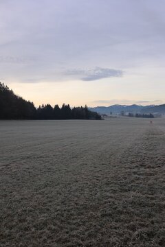 Frosty Meadow at Sunrise with Alps Backdrop