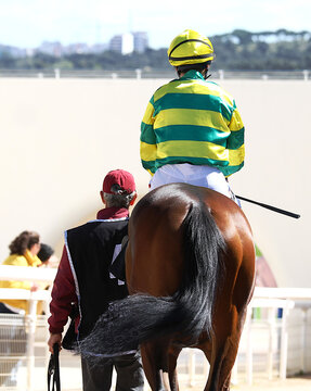 Jockey turf en caballo de carreras jinete y mozo de espaldas en hip&oacute;dromo con chaquetilla de colores, l&aacute;tigo y casco grupa pura sangre h&iacute;pica y competencia paddock