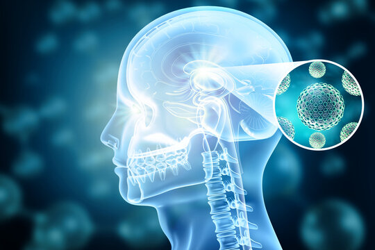 Medical illustration of human head and brain anatomy depicting a viral infection and targeted pathogens. 3d illustration