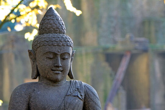 Buddha