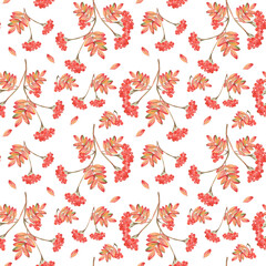 Obraz premium Watercolor rowan berry seamless pattern with colorful autumn foliage