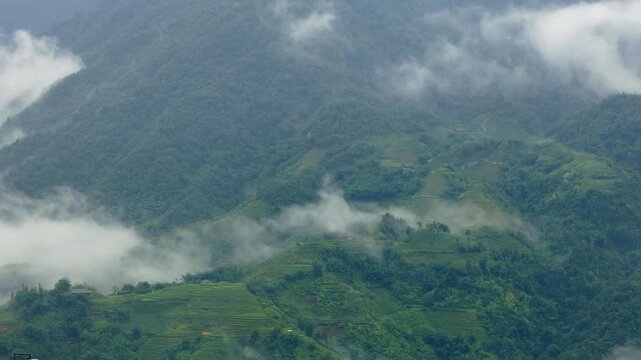 Jungle and rice terraces on Hoang Lien Son Mountain with moisture evaporation causing atmospheric cloud formations. Sapa, Vietnam.