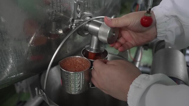 Technician in a white coat draws a sample of thick tomato pulp from a tank valve into a stainless measuring cup