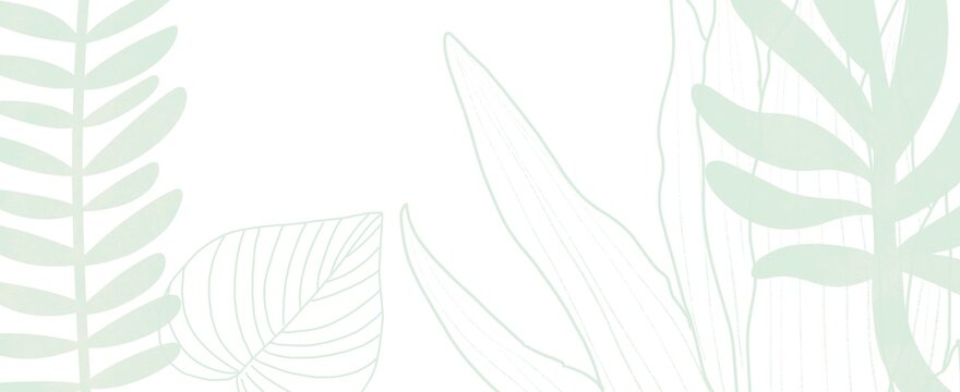 Minimal green botanical background with tropical leaves and copy space