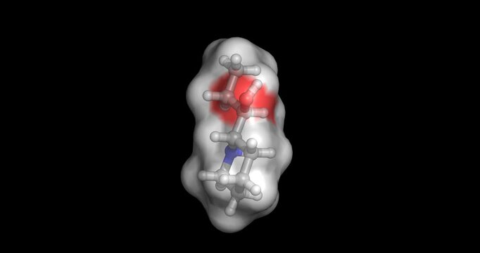 Conhydrine, hemlock neurotoxin/poison causing neuromuscular block, 3D molecule spinning, 4K