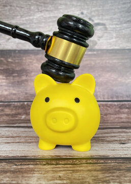 Yellow piggy bank with judge&rsquo;s gavel representing financial law, savings, debt, investment, and economic decisions.