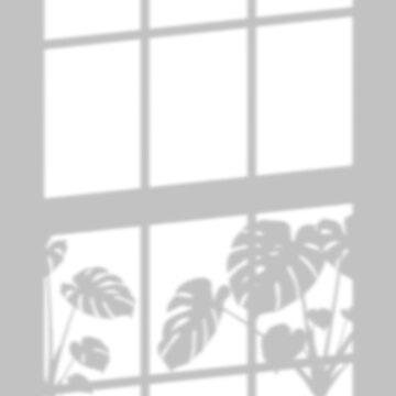 Window frame shadow with monstera plant leaf on transparent background, vector illustration.
