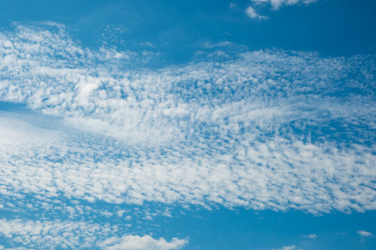 Dense cirrocumulus clouds forming a white rippled texture on a bright blue sky. A serene naturecore background with copy space for overlay design.