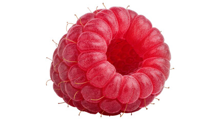 Single ripe red raspberry with tiny hairs, isolated on transparent background © Aliona