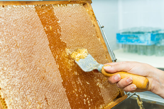 Hand uncapping honeycomb frame extracting natural honey
