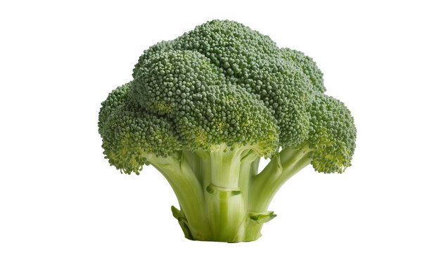 Fresh green broccoli head with textured florets, isolated on transparent background