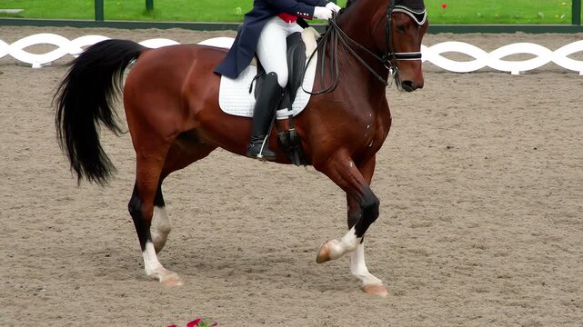 Graceful Performance in Riding. A rider in a traditional costume gracefully rides a pedigreed horse. Slow Motion