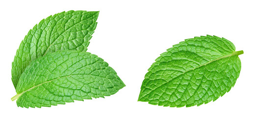 Fresh mint leaf set isolated on transparent. Mint leaf set is isolated with a PNG © URSA Star