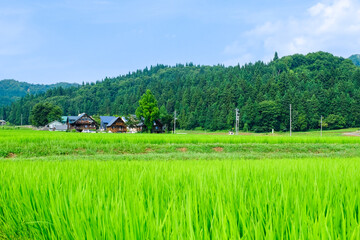 田舎　日本　夏 © Mugi