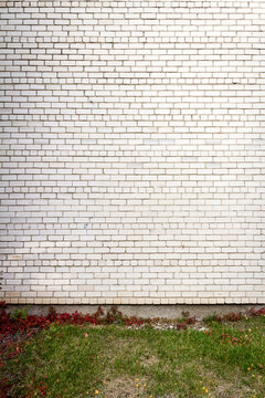 Old cracked white brick wall with green grass. Architectural detail background.