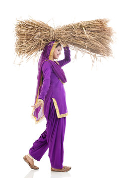 Sikh woman carrying bales of hay 
