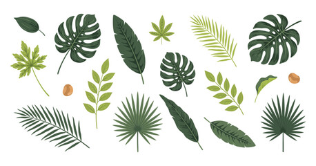 Naklejka premium Collection of tropical foliage and monstera leaves in a vector illustration