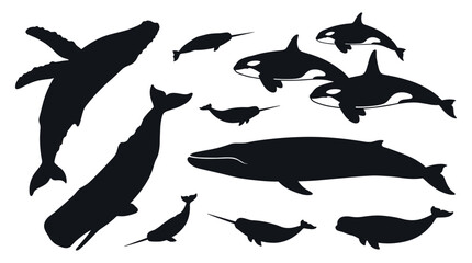 Whale Silhouette Vector Set Featuring Orca Humpback Narwhal Blue and Sperm Whale Species for Marine Conservation Logos and Nautical Graphic Designs © Icon Designs