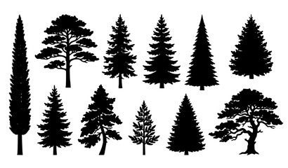 Obraz premium Black Evergreen Pine Fir and Christmas Tree Silhouette Vector Set