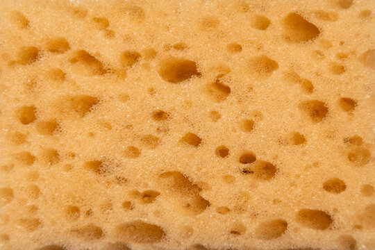 texture of a dishwashing sponge