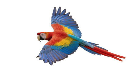 Vibrant scarlet macaw parrot with blue and yellow wings, flying isolated on transparent background © Luca