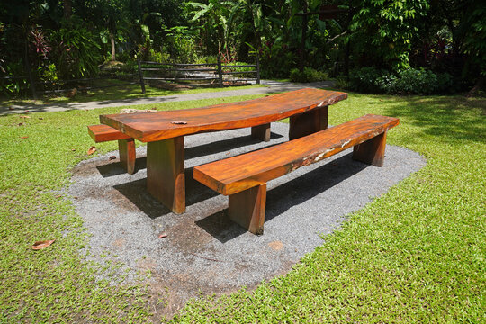 A rustic bench and table crafted from a large wooden slab, nestled beautifully within a lush tropical garden