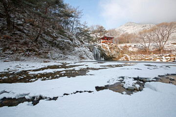 용유천,폭포,소나무,장각폭포,금란정,상오리,상주시,경북 © JinChang