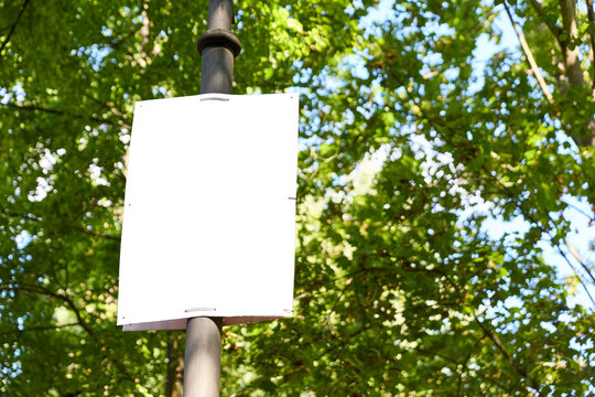 Leeres wei&szlig;es Wahlplakat als Mockup Design Template im Sommer