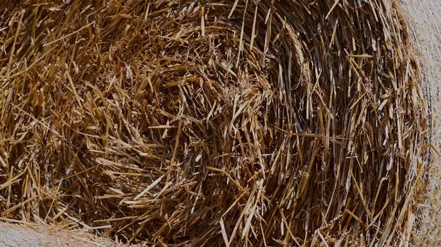 A slow zoom-out from a textured close-up of dry straw reveals a large, stacked pyramid of round hay bales resting under a clear blue sky.