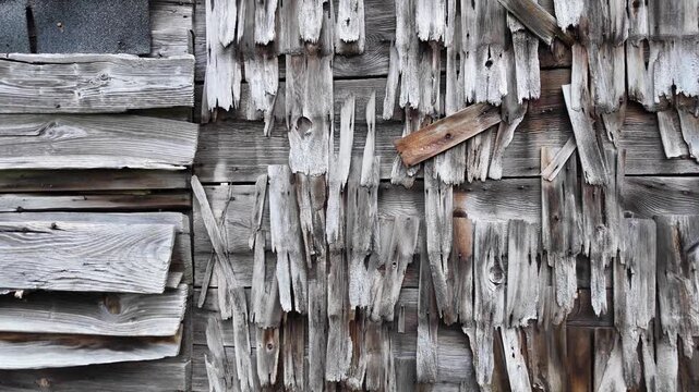 Close up view of the deteriorating and decaying wood siding of an abandoned Michigan farm house