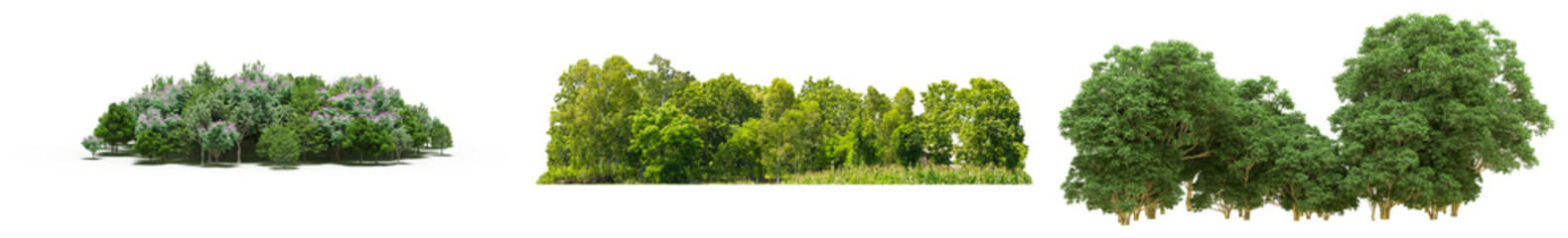 Fototapeta premium Collection of trees and bushes isolated on transparent background