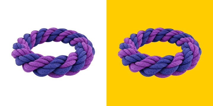 Purple and blue braided rope circle shape decorative element
