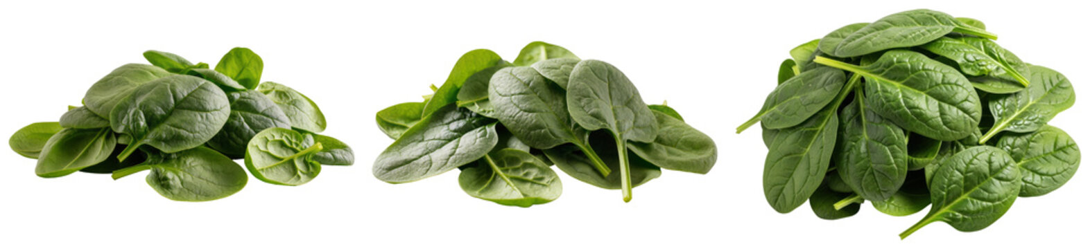 Three piles of fresh spinach leaves isolated on a transparent background