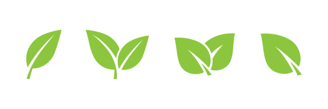 Green leaf icon set, simple nature plant leaf logo collection, modern symbol set of single and double fresh organic leaves, vector isolated on transparent or white background.