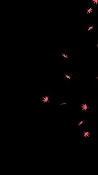 斜めに舞う紅葉の3DCG黒背景　301f～600f部分ループ