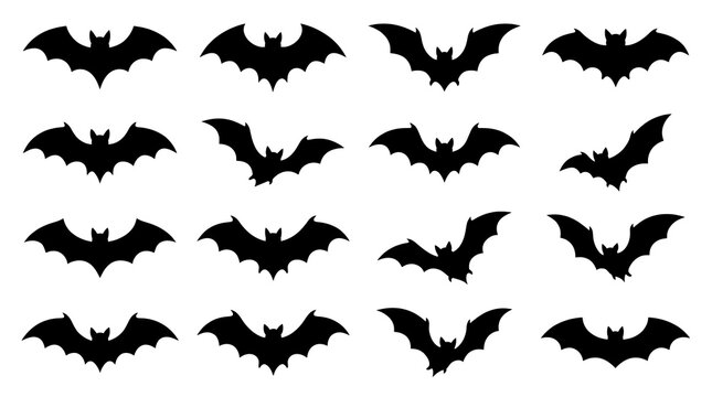 Set black bat silhouettes collection flying creatures isolated white background halloween decorative elements vector graphic design icons