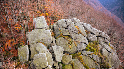 Obraz premium Colors of autumn fill the beech forest near Oresnik rock in the Jizera mountains. The trees show orange and yellow leaves under cloudy skies. Nature invites exploration and discovery.